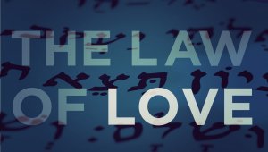 The Law Of Love